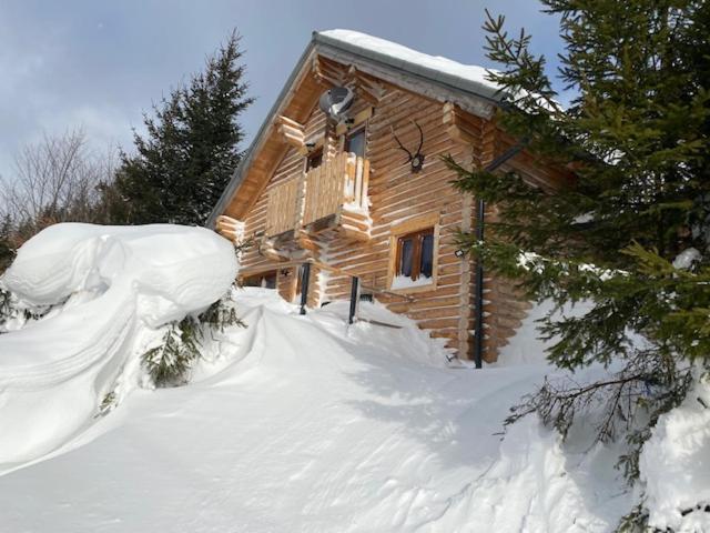 Alpenchalet Grabner Alm Am Praebichl Villa Almhauser Екстериор снимка